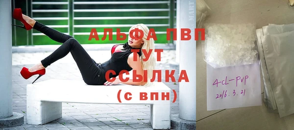СК Алзамай